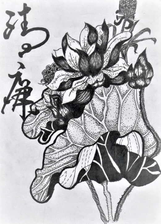 33.png 33.png